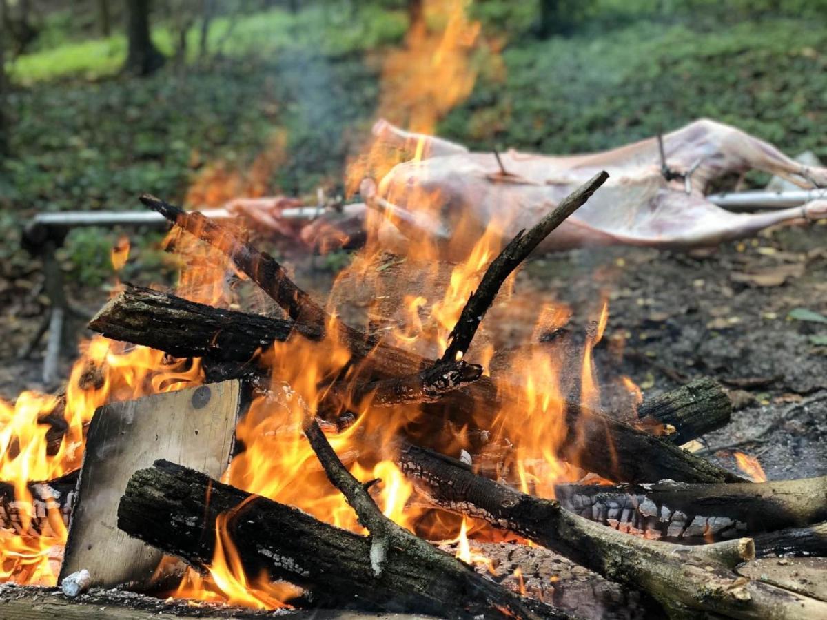 Baranja Black Hill'S Gajic Ngoại thất bức ảnh