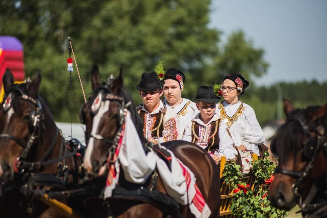 Baranja Black Hill'S Gajic Ngoại thất bức ảnh