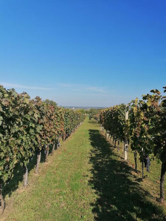 Baranja Black Hill'S Gajic Ngoại thất bức ảnh